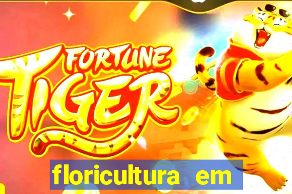 floricultura em franca sp